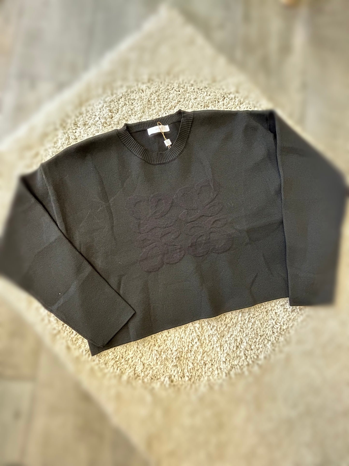 Suéter loewe image 0