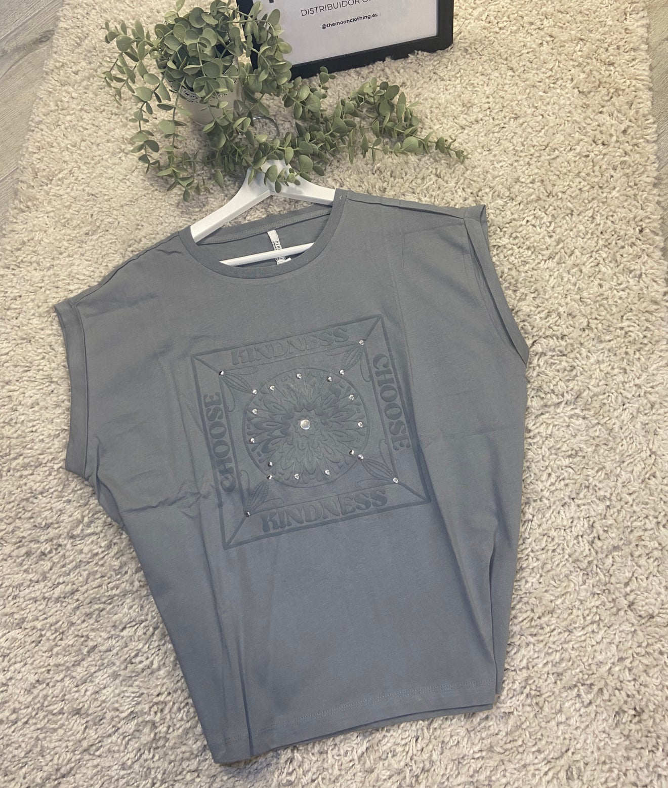 Camiseta Lisa